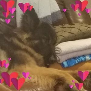 Meet your Posher, Angie